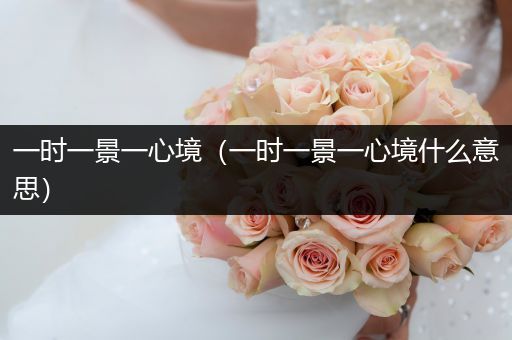 一时一景一心境(一时一景一心境什么意思)