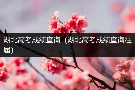 湖北高考成绩查询(湖北高考成绩查询往届)