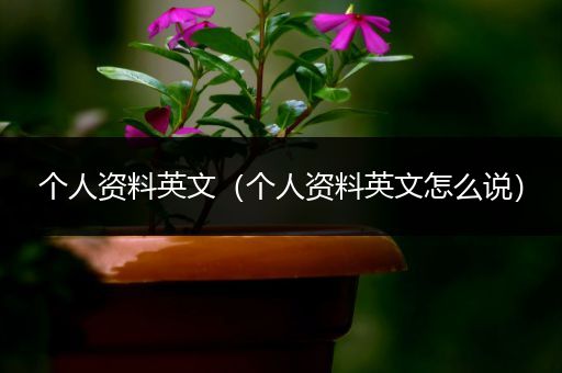 个人资料英文(个人资料英文怎么说)