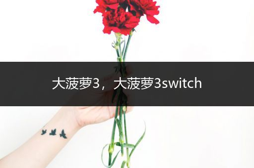 大菠萝3,大菠萝3switch