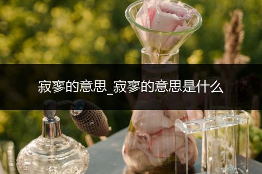 寂寥的意思_寂寥的意思是什么