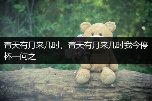 青天有月来几时,青天有月来几时我今停杯一问之