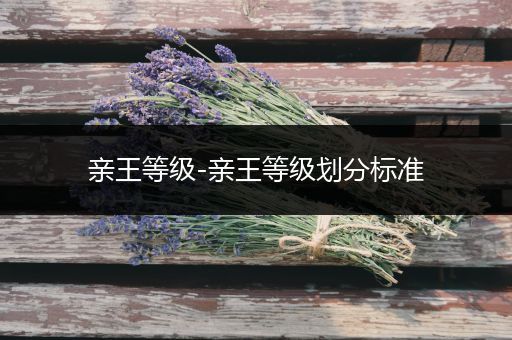 亲王等级-亲王等级划分标准