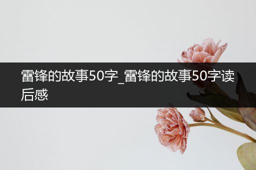 雷锋的故事50字_雷锋的故事50字读后感