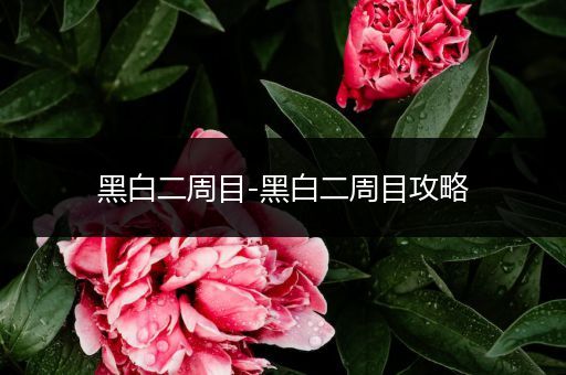 黑白二周目-黑白二周目攻略