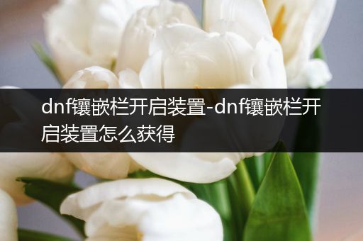 dnf镶嵌栏开启装置-dnf镶嵌栏开启装置怎么获得