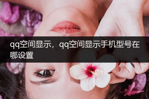 qq空间显示，qq空间显示手机型号在哪设置
