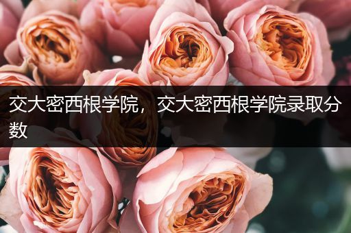 交大密西根学院,交大密西根学院录取分数