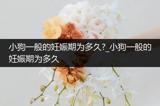 小狗一般的妊娠期为多久?_小狗一般的妊娠期为多久