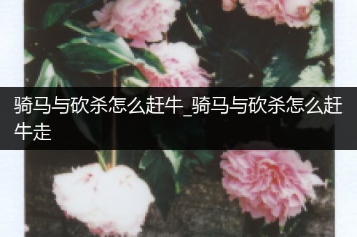 骑马与砍杀怎么赶牛_骑马与砍杀怎么赶牛走