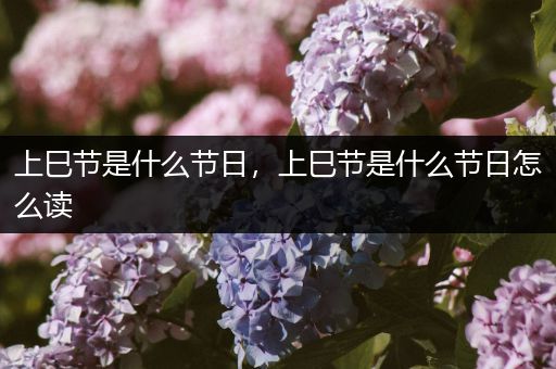 上巳节是什么节日,上巳节是什么节日怎么读