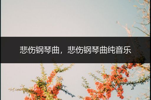 悲伤钢琴曲,悲伤钢琴曲纯音乐