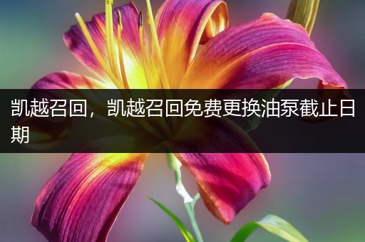 凯越召回,凯越召回免费更换油泵截止日期