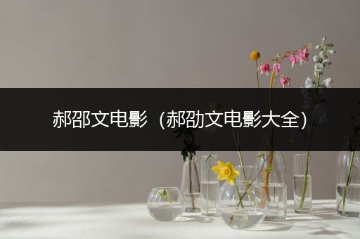 郝邵文电影(郝劭文电影大全)