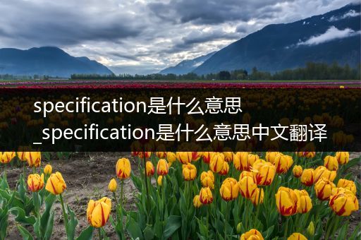specification是什么意思_specification是什么意思中文翻译
