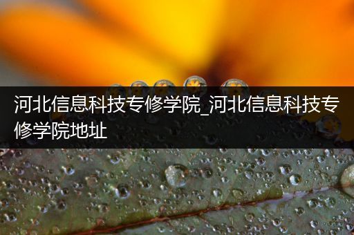 河北信息科技专修学院_河北信息科技专修学院地址