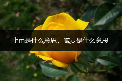 hm是什么意思,喊麦是什么意思