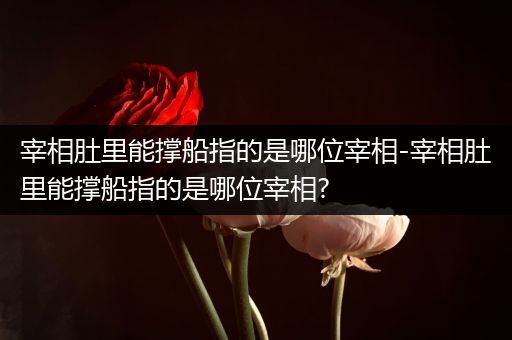 宰相肚里能撑船指的是哪位宰相-宰相肚里能撑船指的是哪位宰相?