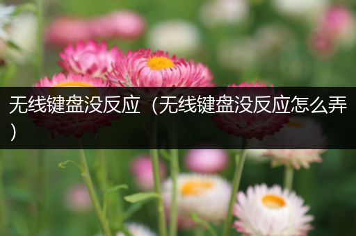 无线键盘没反应(无线键盘没反应怎么弄)