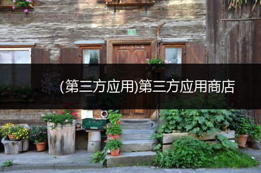 （第三方应用)第三方应用商店