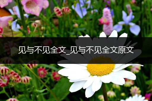 见与不见全文_见与不见全文原文