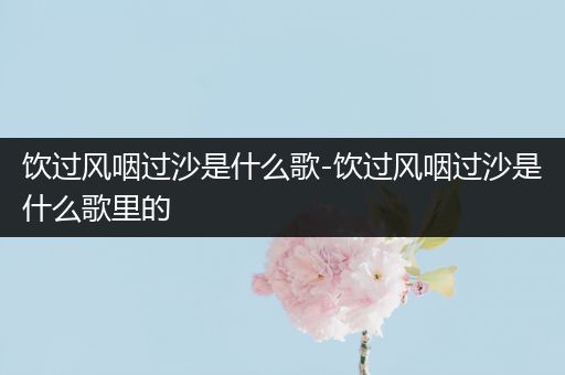 饮过风咽过沙是什么歌-饮过风咽过沙是什么歌里的