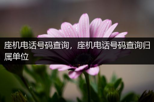 座机电话号码查询，座机电话号码查询归属单位