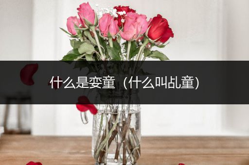 什么是娈童(什么叫乩童)