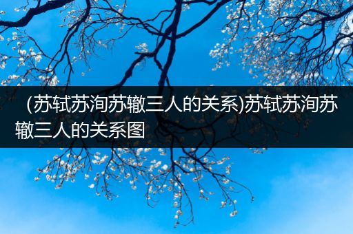 (苏轼苏洵苏辙三人的关系)苏轼苏洵苏辙三人的关系图