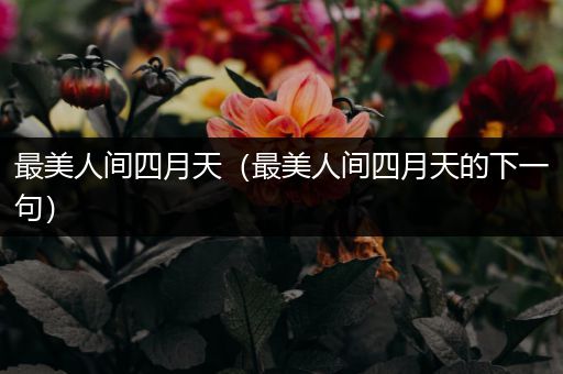 最美人间四月天(最美人间四月天的下一句)
