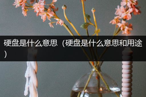 硬盘是什么意思(硬盘是什么意思和用途)