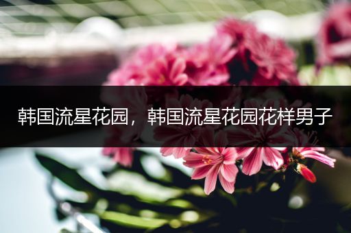韩国流星花园,韩国流星花园花样男子