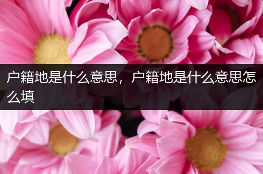 户籍地是什么意思，户籍地是什么意思怎么填