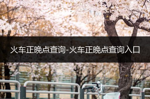 火车正晚点查询-火车正晚点查询入口