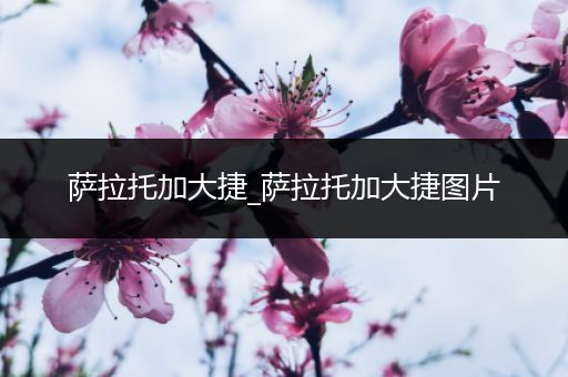 萨拉托加大捷_萨拉托加大捷图片