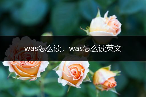 was怎么读,was怎么读英文