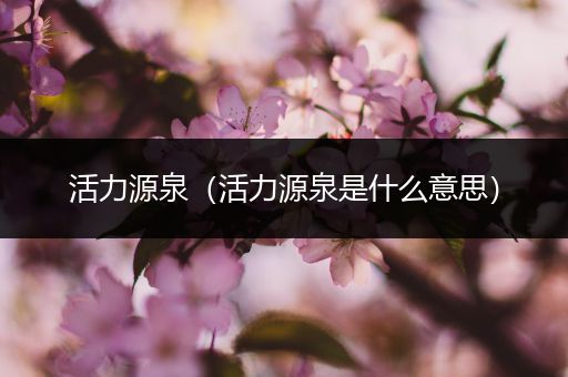 活力源泉(活力源泉是什么意思)