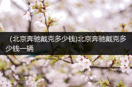 (北京奔驰戴克多少钱)北京奔驰戴克多少钱一辆