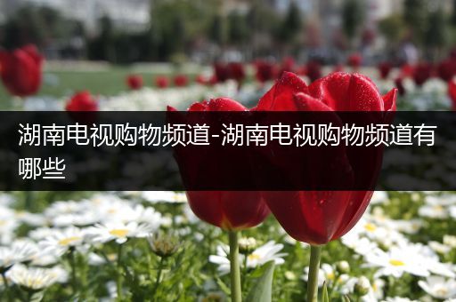 湖南电视购物频道-湖南电视购物频道有哪些