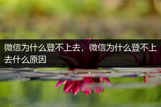 微信为什么登不上去，微信为什么登不上去什么原因