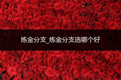 炼金分支_炼金分支选哪个好