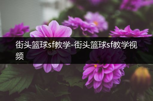 街头篮球sf教学-街头篮球sf教学视频