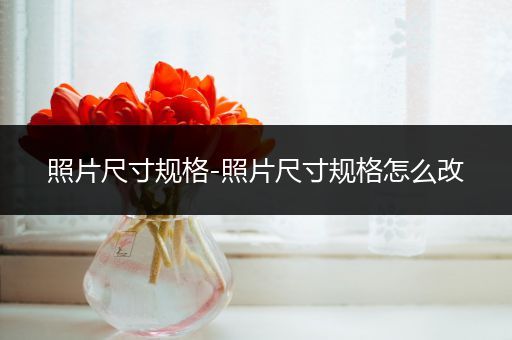 照片尺寸规格-照片尺寸规格怎么改
