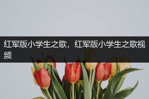 红军版小学生之歌,红军版小学生之歌视频