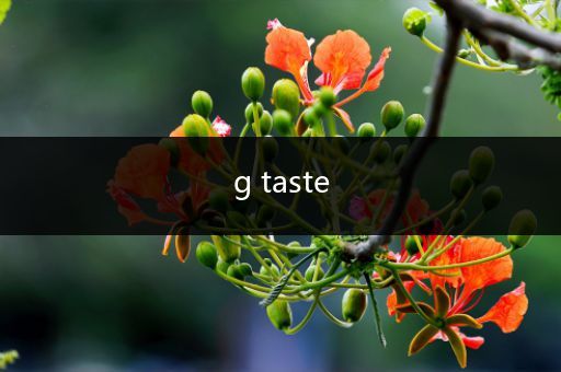 g taste