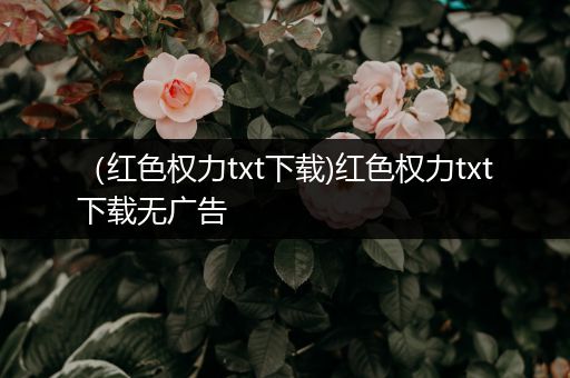 (红色权力txt下载)红色权力txt下载无广告