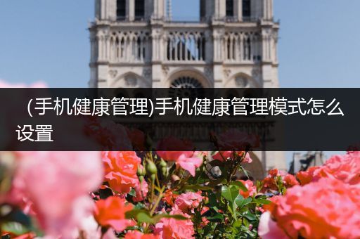 (手机健康管理)手机健康管理模式怎么设置