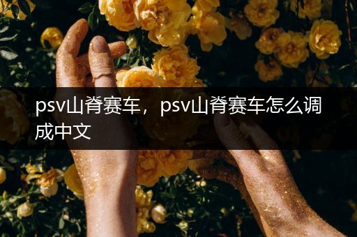 psv山脊赛车,psv山脊赛车怎么调成中文