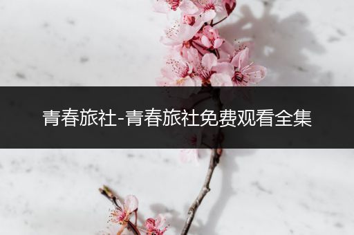 青春旅社-青春旅社免费观看全集