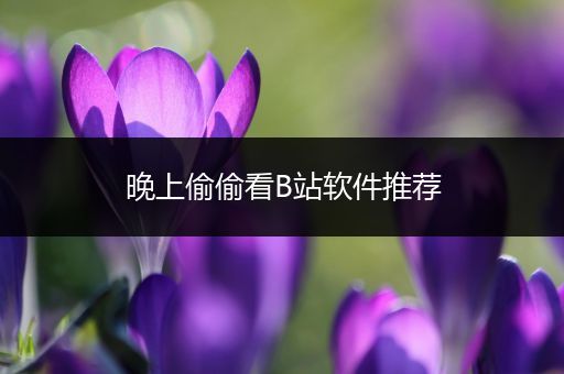 晚上偷偷看B站软件推荐